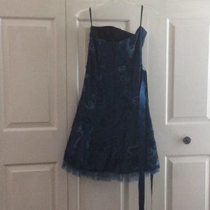 Jessica McClinntock  Size 10 Blue dress with embroidery flowers, belted